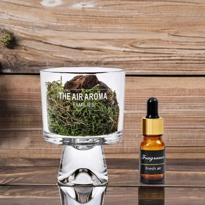 Individuell angepasste Farbe Luxus 100ml Moos-Reiß-Diffusor-Set mit Natur-inspiriert Duftöl