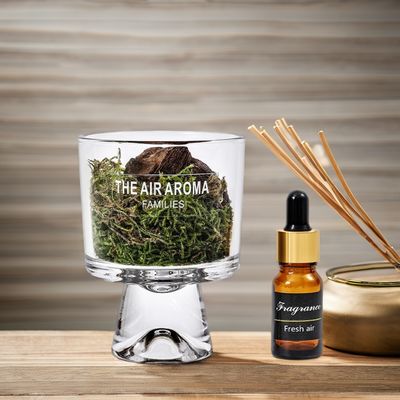Designer 100ml Moss Diffuser Geschenk Set Frische Luft mit kreativem Duftöl halten