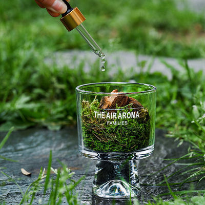 Designer 100ml Moss Diffuser Geschenk Set Frische Luft mit kreativem Duftöl halten