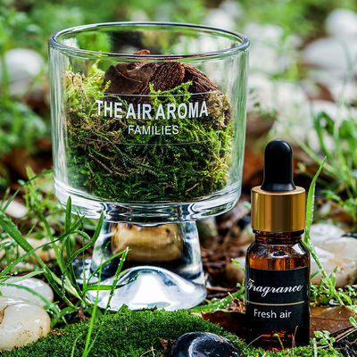 Designer 100ml Moss Diffuser Geschenk Set Frische Luft mit kreativem Duftöl halten