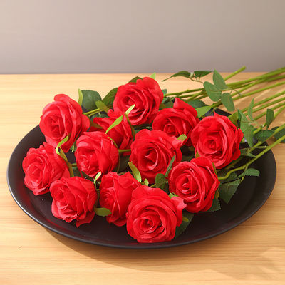 Anlass zum Valentinstag für besondere Anlässe