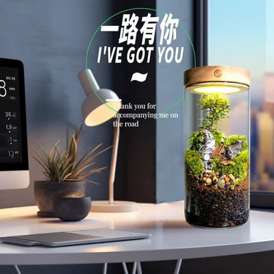 Elegante Tonkeramik Tischdecke Gewächshäuser Lampe für Moos Terrarien im modernen Design