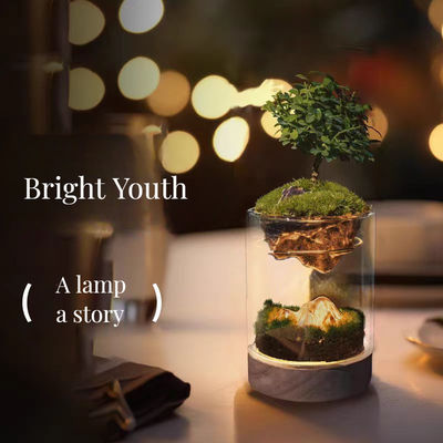 Glasfaser-Treibhauslampe für moderne Bonsai-Boden-/Einkaufszentrumdekorationen