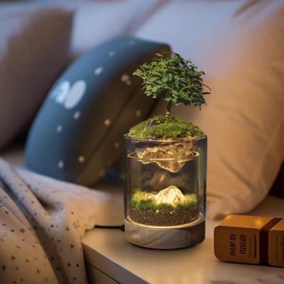 Moderne Tischglasgewächshäuser Lampen Glasfaser Terrarien zum Pflanzen von Sämlingen