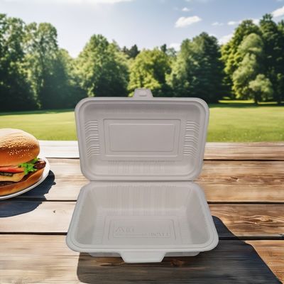 Biologisch abbaubare Einweg-Lebensmittelbehälter langlebige quadratische Kunststoff-Lunchboxen mit Deckel