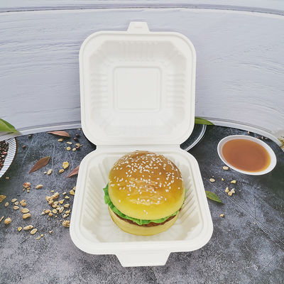 Mikrowellensicherheit Quadratische Kunststoff-Lunchboxen biologisch abbaubare Behälter für Lebensmittelverpackungen