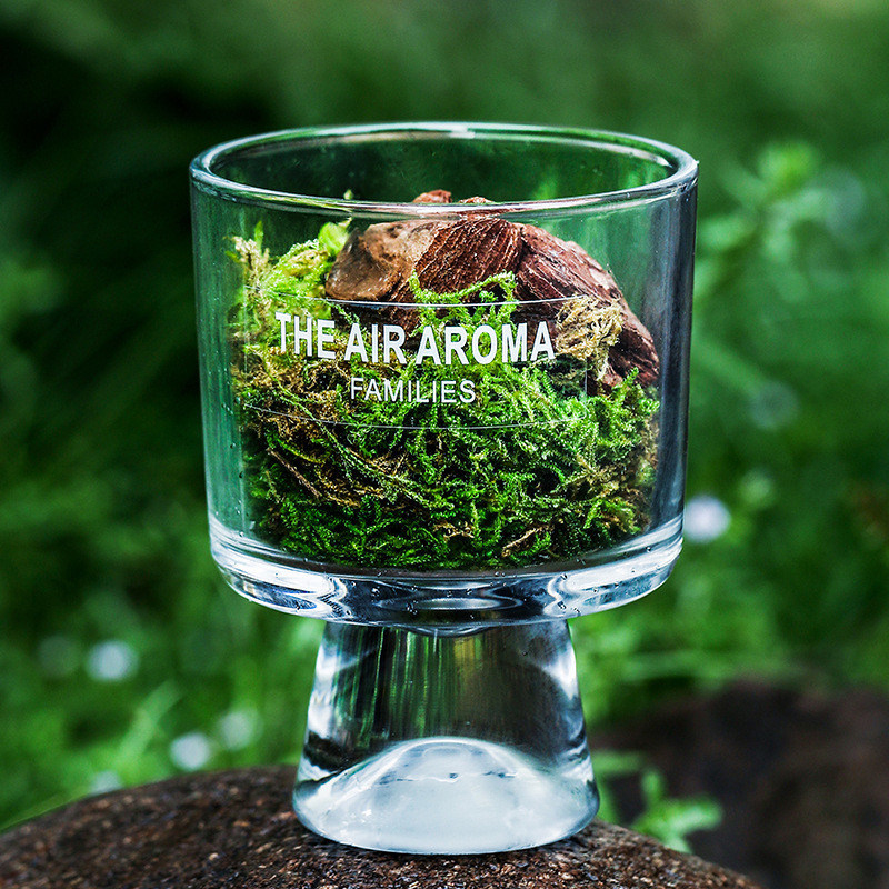 Kundenlogo Luxus-Rohrdiffuser mit kreativem Duftöl in 100 ml Glasflasche